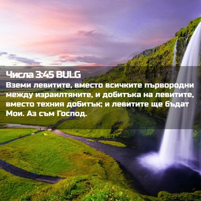 Picture 02 - Числа 3:45 BULG - Вземи левитите, вместо - Bible Verse Picture