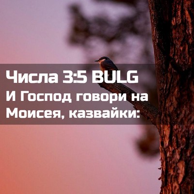 Picture 02 - Числа 3:5 BULG - И Господ говори на Моисея, - Bible Verse Picture