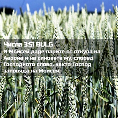 Picture 02 - Числа 3:51 BULG - И Моисей даде парите от - Bible Verse Picture