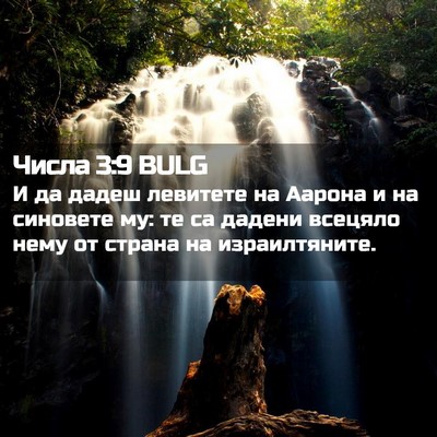 Picture 02 - Числа 3:9 BULG - И да дадеш левитете на - Bible Verse Picture