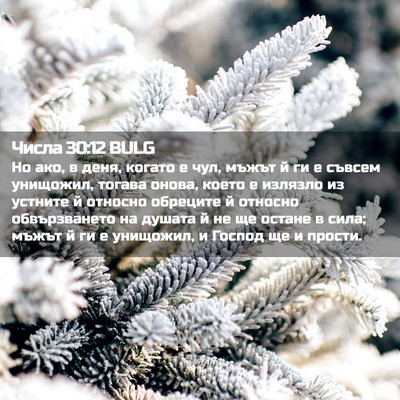 Picture 02 - Числа 30:12 BULG - Но ако, в деня, когато е чул, - Bible Verse Picture