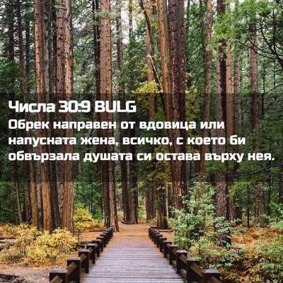 Picture 02 - Числа 30:9 BULG - Обрек направен от вдовица - Bible Verse Picture