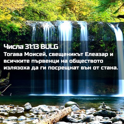 Picture 02 - Числа 31:13 BULG - Тогава Моисей, свещеникът - Bible Verse Picture