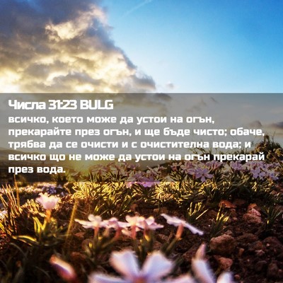 Picture 02 - Числа 31:23 BULG - всичко, което може да устои - Bible Verse Picture