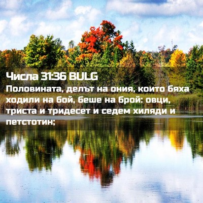 Picture 02 - Числа 31:36 BULG - Половината, делът на ония, - Bible Verse Picture
