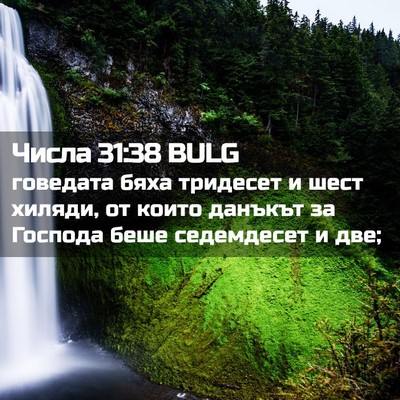 Picture 02 - Числа 31:38 BULG - говедата бяха тридесет и - Bible Verse Picture