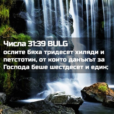 Picture 02 - Числа 31:39 BULG - ослите бяха тридесет - Bible Verse Picture