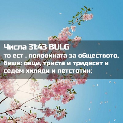 Picture 02 - Числа 31:43 BULG - то ест , половината за - Bible Verse Picture