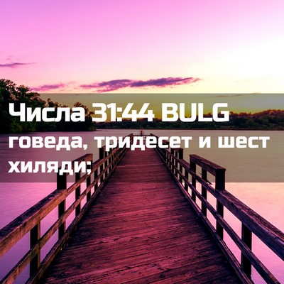 Picture 02 - Числа 31:44 BULG - говеда, тридесет и шест - Bible Verse Picture