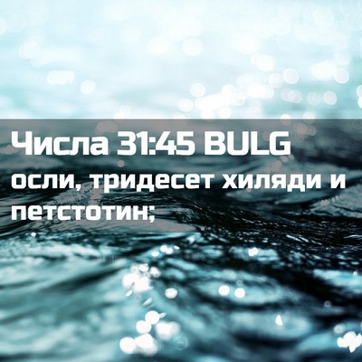 Picture 02 - Числа 31:45 BULG - осли, тридесет хиляди и - Bible Verse Picture