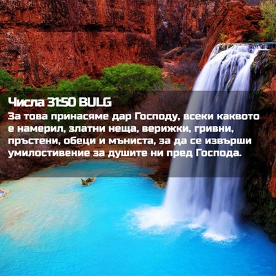 Picture 02 - Числа 31:50 BULG - За това принасяме дар - Bible Verse Picture