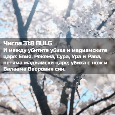 Picture 02 - Числа 31:8 BULG - И между убитите убиха и - Bible Verse Picture