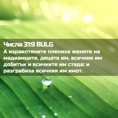 Picture 02 - Числа 31:9 BULG - А израилтяните плениха - Bible Verse Picture