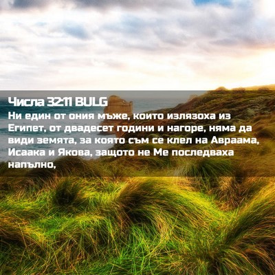 Picture 02 - Числа 32:11 BULG - Ни един от ония мъже, които - Bible Verse Picture