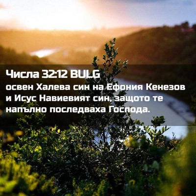 Picture 02 - Числа 32:12 BULG - освен Халева син на Ефония - Bible Verse Picture