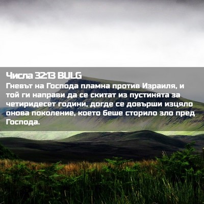 Picture 02 - Числа 32:13 BULG - Гневът на Господа пламна - Bible Verse Picture