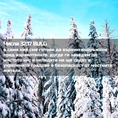 Picture 02 - Числа 32:17 BULG - а сами ние сме готови да - Bible Verse Picture