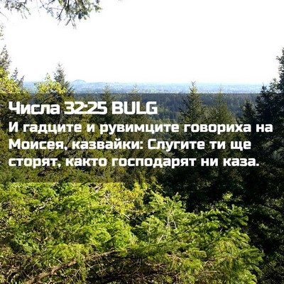 Picture 02 - Числа 32:25 BULG - И гадците и рувимците - Bible Verse Picture