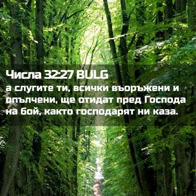 Picture 02 - Числа 32:27 BULG - а слугите ти, всички - Bible Verse Picture