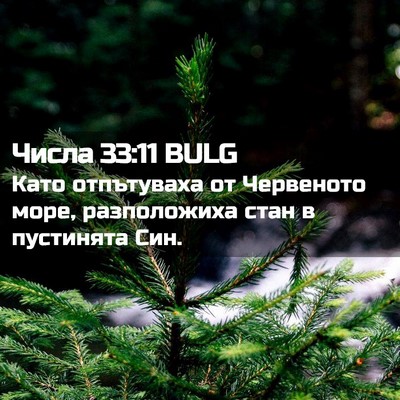 Picture 02 - Числа 33:11 BULG - Като отпътуваха от - Bible Verse Picture
