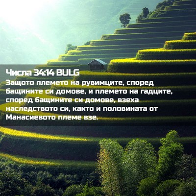 Picture 02 - Числа 34:14 BULG - Защото племето на - Bible Verse Picture