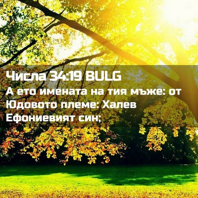 Picture 02 - Числа 34:19 BULG - А ето имената на тия мъже: - Bible Verse Picture