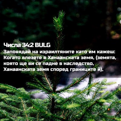 Picture 02 - Числа 34:2 BULG - Заповядай на израилтяните - Bible Verse Picture