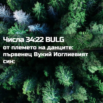 Picture 02 - Числа 34:22 BULG - от племето на данците: - Bible Verse Picture