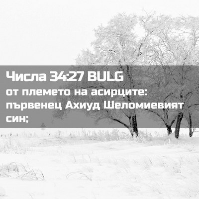 Picture 02 - Числа 34:27 BULG - от племето на асирците: - Bible Verse Picture