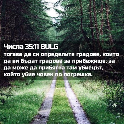 Picture 02 - Числа 35:11 BULG - тогава да си определите - Bible Verse Picture