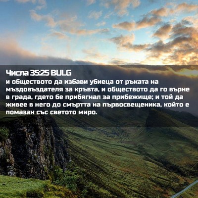Picture 02 - Числа 35:25 BULG - и обществото да избави - Bible Verse Picture