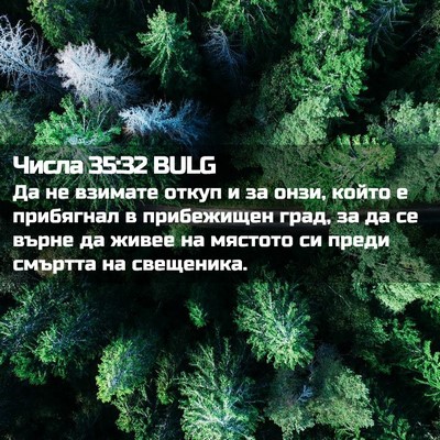 Picture 02 - Числа 35:32 BULG - Да не взимате откуп и за - Bible Verse Picture