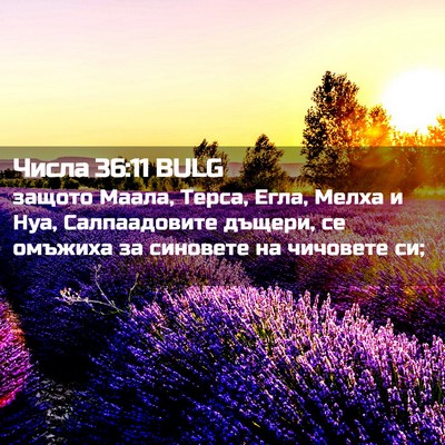Picture 02 - Числа 36:11 BULG - защото Маала, Терса, Егла, - Bible Verse Picture