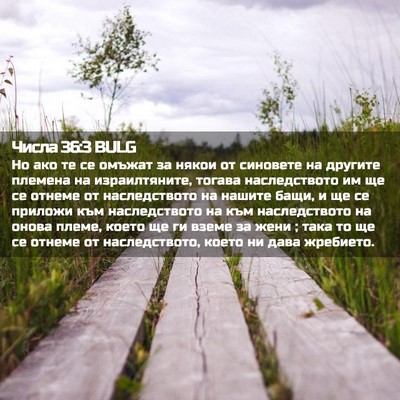 Picture 02 - Числа 36:3 BULG - Но ако те се омъжат за - Bible Verse Picture