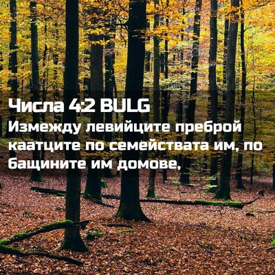 Picture 02 - Числа 4:2 BULG - Измежду левийците преброй - Bible Verse Picture
