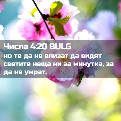 Picture 02 - Числа 4:20 BULG - но те да не влизат да видят - Bible Verse Picture