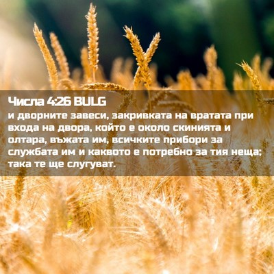 Picture 02 - Числа 4:26 BULG - и дворните завеси, - Bible Verse Picture