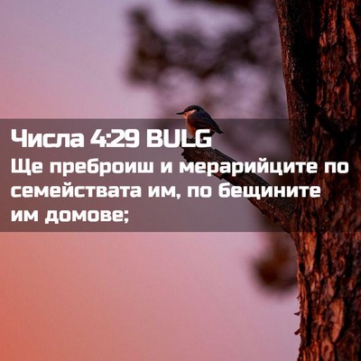 Picture 02 - Числа 4:29 BULG - Ще преброиш и мерарийците - Bible Verse Picture