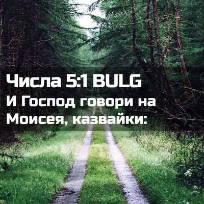 Picture 02 - Числа 5:1 BULG - И Господ говори на Моисея, - Bible Verse Picture