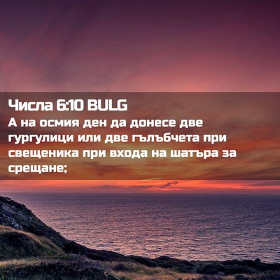 Picture 02 - Числа 6:10 BULG - А на осмия ден да донесе - Bible Verse Picture