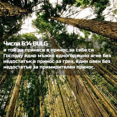 Picture 02 - Числа 6:14 BULG - и той да принесе в принос - Bible Verse Picture