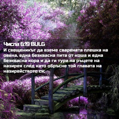 Picture 02 - Числа 6:19 BULG - И свещеникът да вземе - Bible Verse Picture
