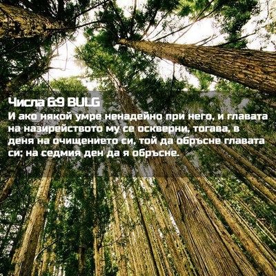 Picture 02 - Числа 6:9 BULG - И ако някой умре ненадейно - Bible Verse Picture