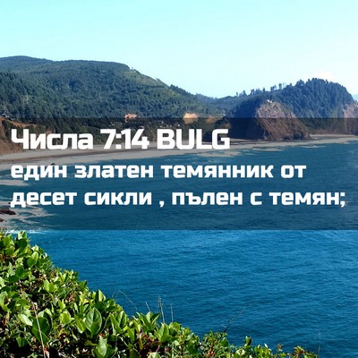Picture 02 - Числа 7:14 BULG - един златен темянник от - Bible Verse Picture