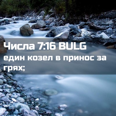 Picture 02 - Числа 7:16 BULG - един козел в принос за - Bible Verse Picture