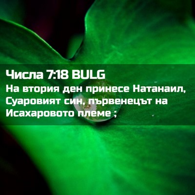 Picture 02 - Числа 7:18 BULG - На втория ден принесе - Bible Verse Picture