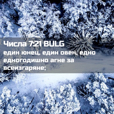 Picture 02 - Числа 7:21 BULG - един юнец, един овен, едно - Bible Verse Picture
