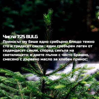 Picture 02 - Числа 7:25 BULG - Приносът му беше едно - Bible Verse Picture