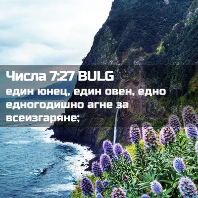 Picture 02 - Числа 7:27 BULG - един юнец, един овен, едно - Bible Verse Picture