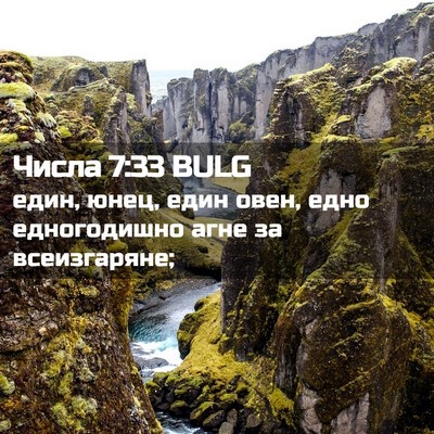 Picture 02 - Числа 7:33 BULG - един, юнец, един овен, едно - Bible Verse Picture